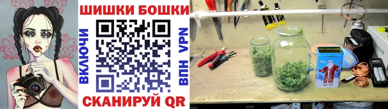Купить закладку Гашиш Alpha-PVP Меф мяу мяу Бошки Шишки Завитинск