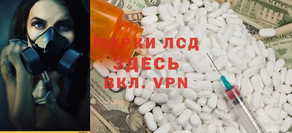 стаф Дмитров