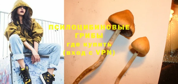 таблы Ельня