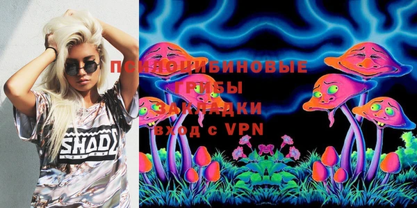 таблы Ельня