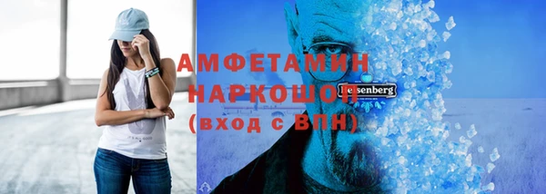 индика Елабуга