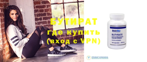 индика Елабуга
