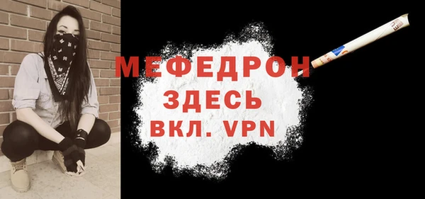 индика Елабуга