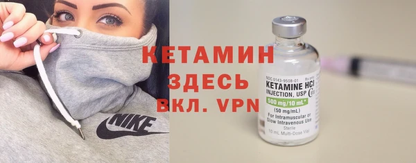 индика Елабуга