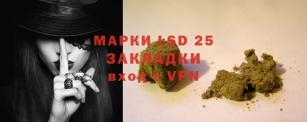 индика Елабуга