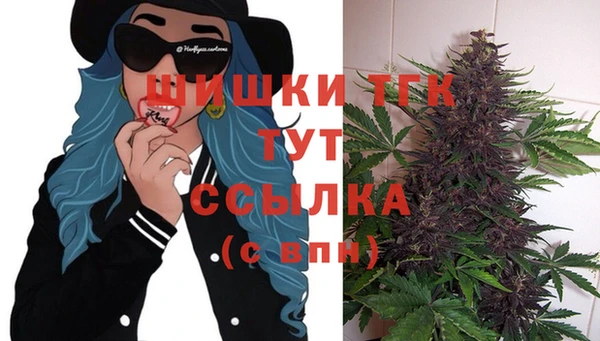 индика Елабуга