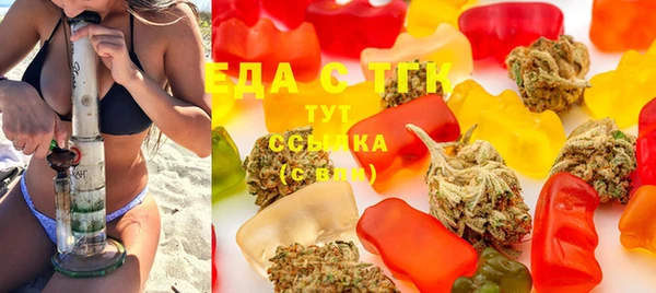 индика Елабуга