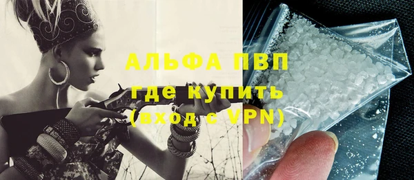 индика Елабуга