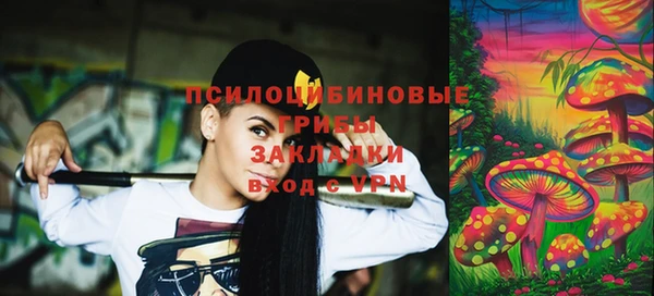 индика Елабуга