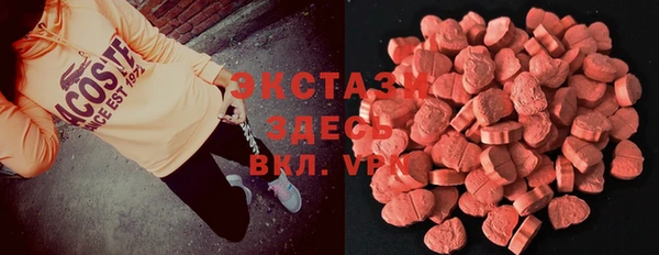 индика Елабуга