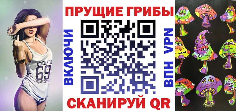 Псилоцибиновые грибы Cubensis  Купить где  Завитинск 
