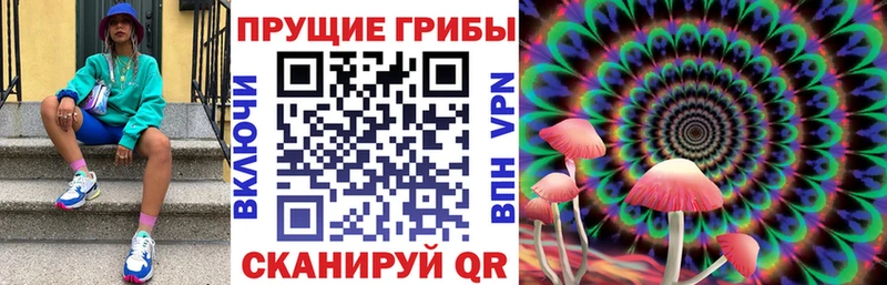 Псилоцибиновые грибы Magic Shrooms Завитинск